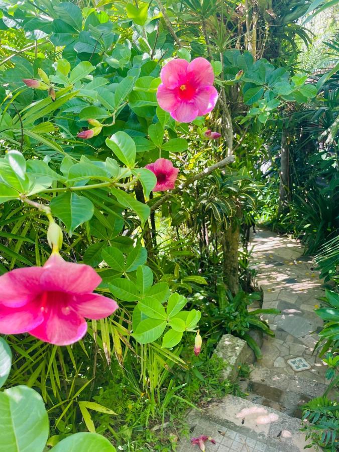 Morada Crisalida Hotel Praia do Rosa Ngoại thất bức ảnh