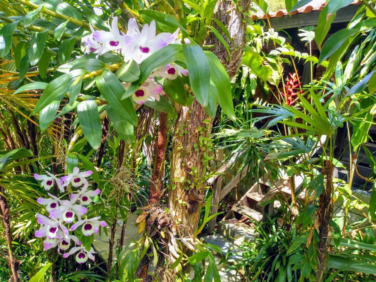 Morada Crisalida Hotel Praia do Rosa Ngoại thất bức ảnh