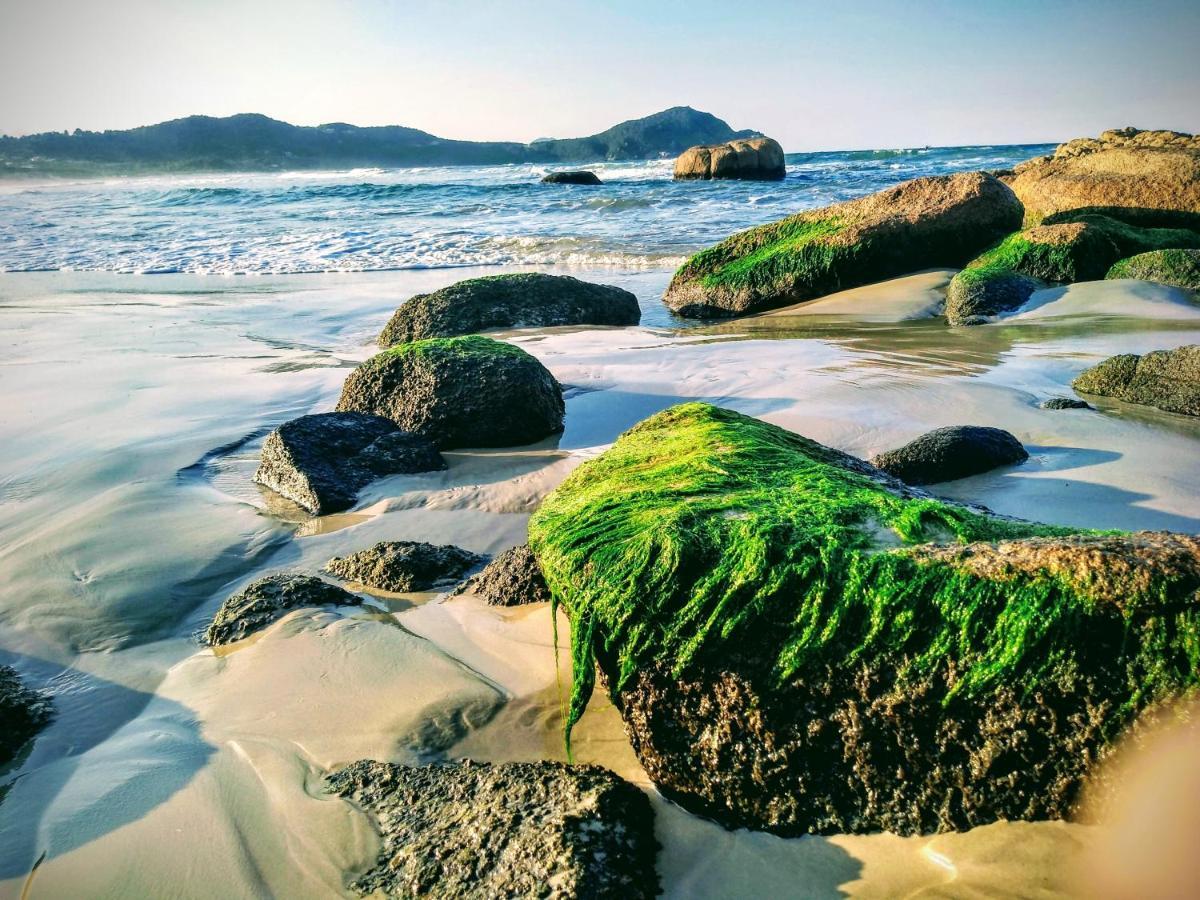 Morada Crisalida Hotel Praia do Rosa Ngoại thất bức ảnh